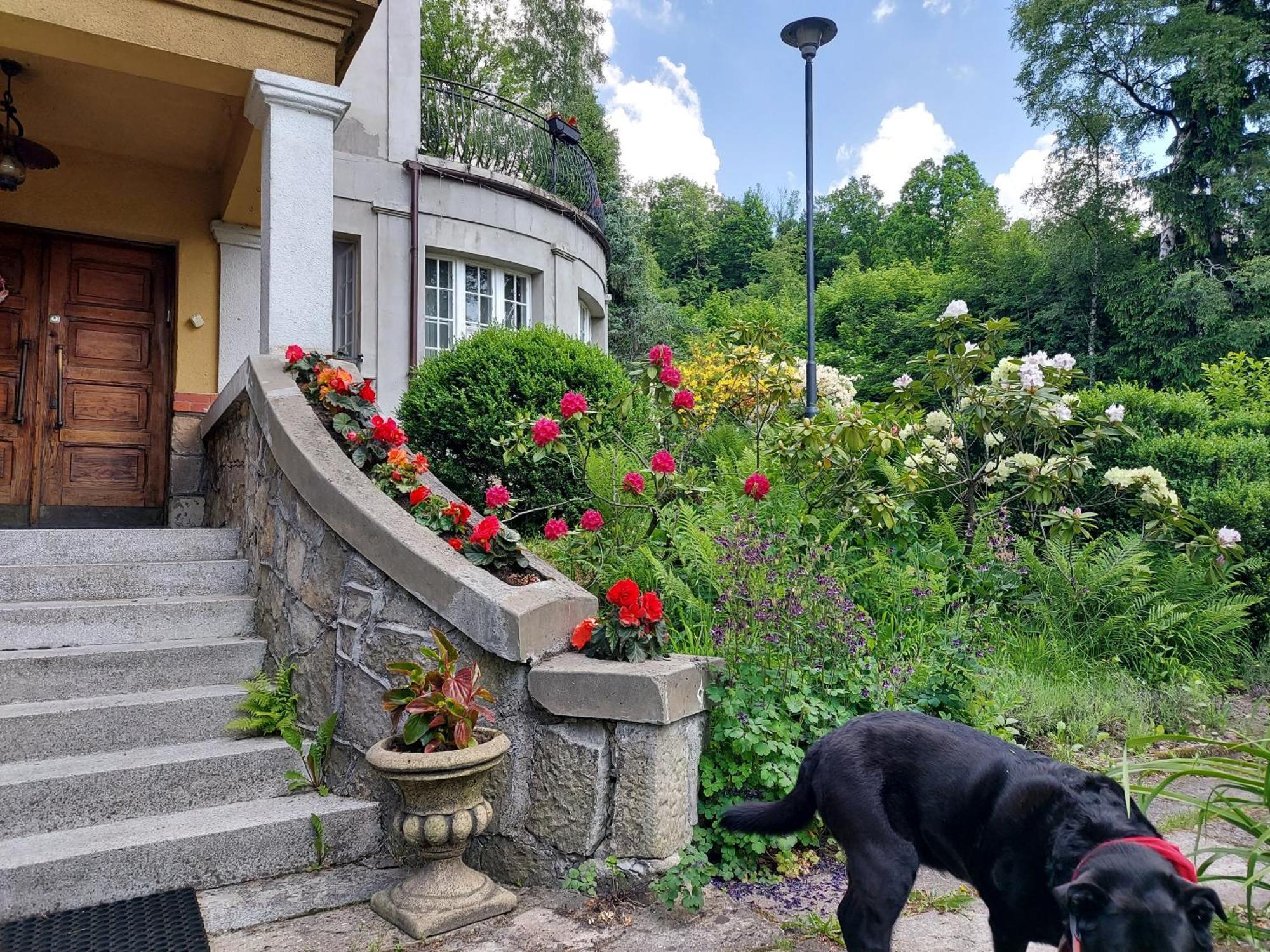 Willa Marysin Makow Podhalanski Exterior photo